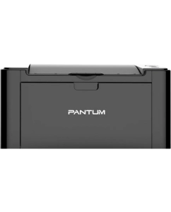 Купить Лазерный Принтер Pantum P2500NW (P2500NW)  в E-mobi