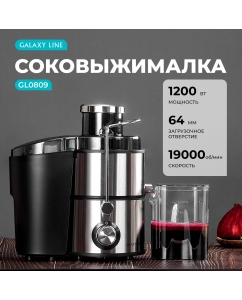 Купить Соковыжималка центробежная GALAXY LINE GL0809 1200 Вт серебристый в E-mobi