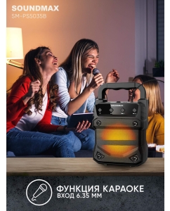 Купить Портативная колонка Soundmax SM-PS5035B Black  в E-mobi