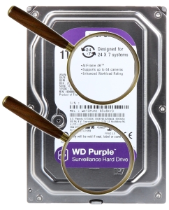 Купить Жесткий диск WD Purple 1ТБ (WD10PURZ)  в E-mobi