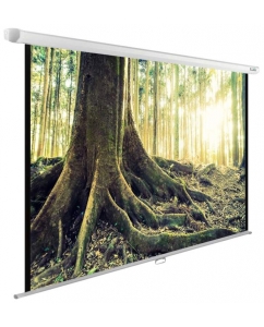 Купить Экран для видеопроектора Cactus WallExpert CS-PSWE-220X220-WT в E-mobi