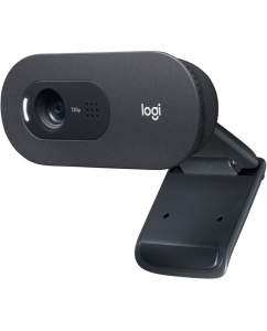 Купить Web-камера Logitech C505e Black 960-001372 в E-mobi