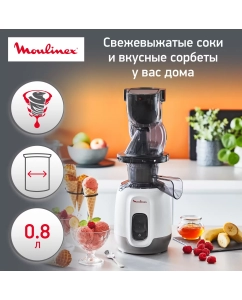 Купить Соковыжималка шнековая Moulinex ZU600110 в E-mobi